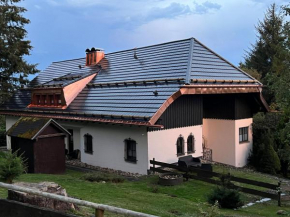 Schwarzwald-Villa mit Indoor-Pool